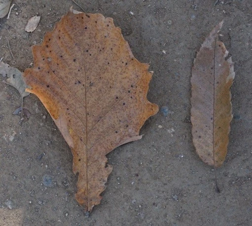 2_j27Ud018svcvydo26urt0gl_uon9qf.jpg?type=e1920_std