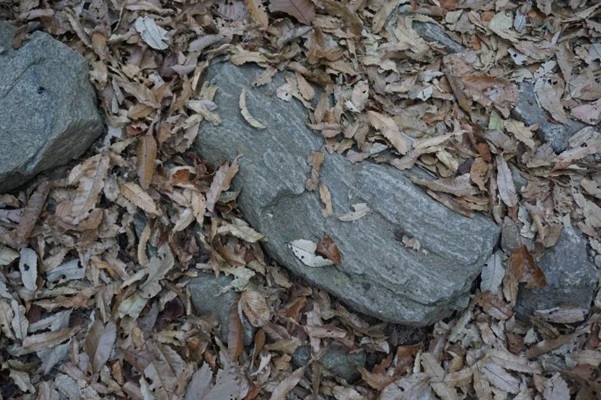 c_e26Ud018svcle0d8xaepat0_uon9qf.jpg?type=e1920_std