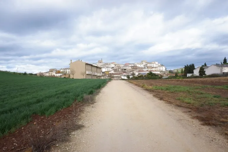 B99D5802-82D9-4E20-A49E-8BD52A472C89-24944-00000AC5E9A38D44.jpg?type=w773