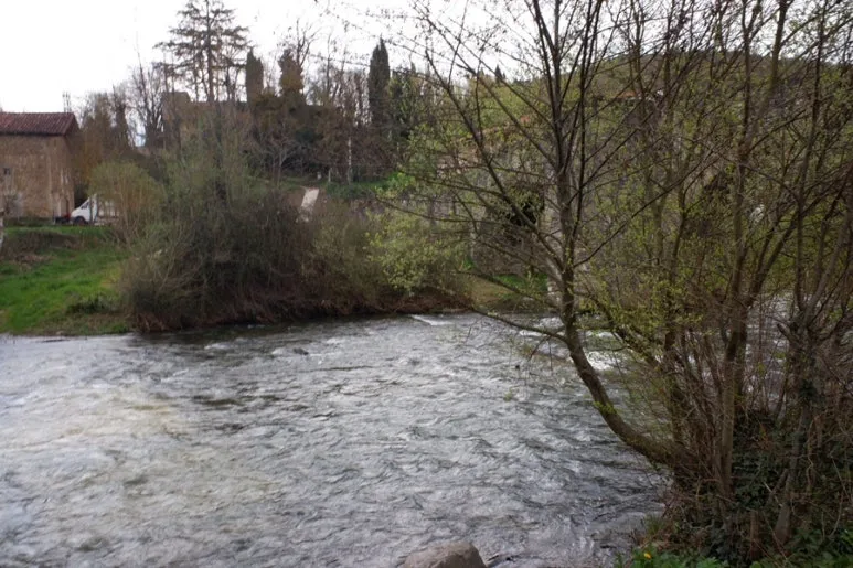 41DEFF2A-617C-4FC0-B09E-41E43DABA464-14822-000006BE146B77D2.jpg?type=w773