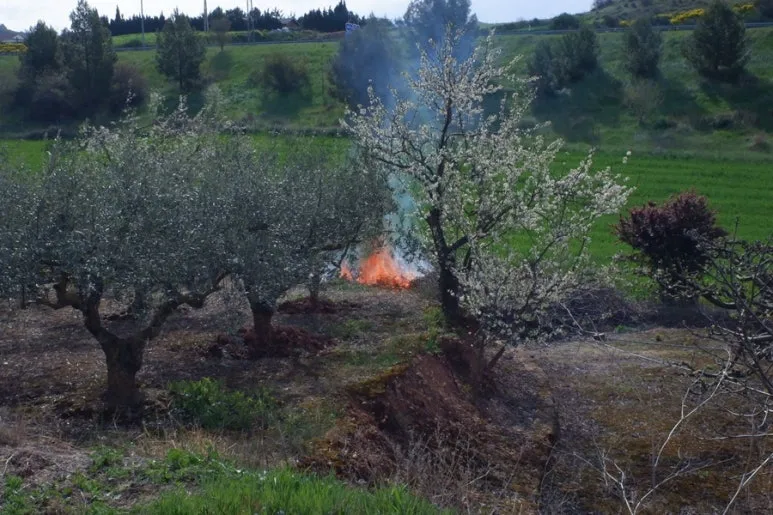 961BE3B1-5236-403F-A4DF-71AC5D66CCFE-26988-00000BA58B368D48.jpg?type=w773