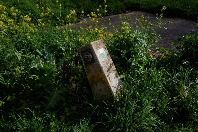 687521E3-3CCD-47EA-A52B-609DA97139E3-23589-000009F43575B8DD.jpg?type=w773