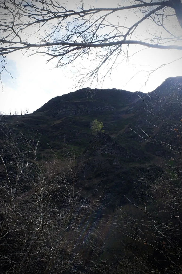 2F28A9C4-238B-4EBF-9C8E-5B154E95F6A9-13078-000005D919787551.jpg?type=w773