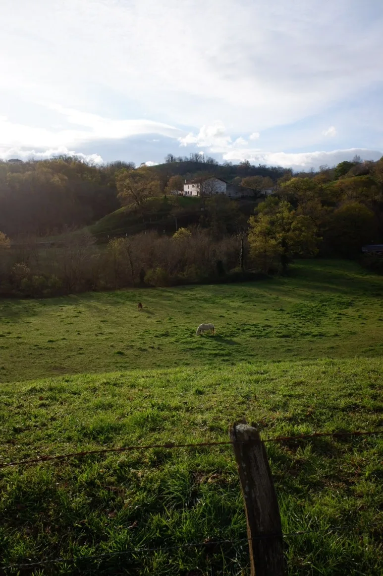 8A8FB6DE-CD72-44A1-9BA9-B0118BA6071A-13078-000005D8B402EC14.jpg?type=w773