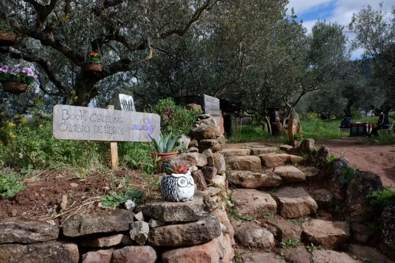 407C8C9C-200B-48C2-AEB5-12209E3F7735-24944-00000AC625A11AAC.jpg?type=w773