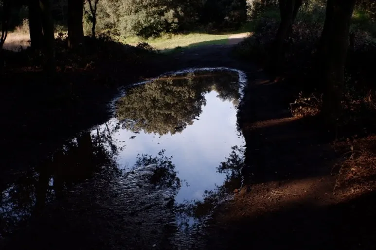 3BE80E47-CDD0-4135-8584-580FA3ACA42B-26988-00000BA54540F34F.jpg?type=w773