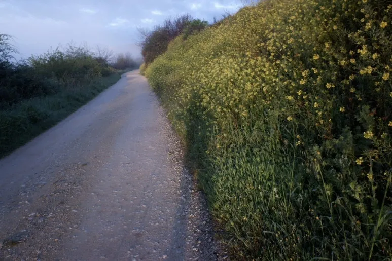 B2FE1813-1FFA-465A-8DF4-7FE779BCEF90-24944-00000AC5D04FB0CA.jpg?type=w773