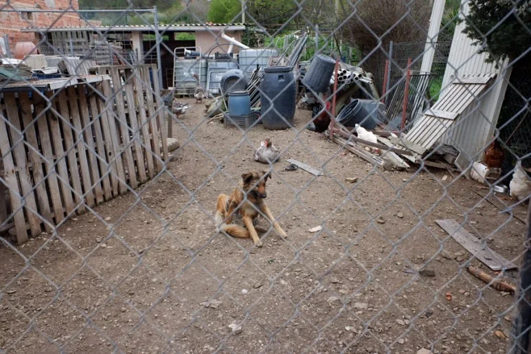 F4B24761-338F-4B6A-A466-032A9C91D54F-26988-00000BA5D30633B8.jpg?type=w773