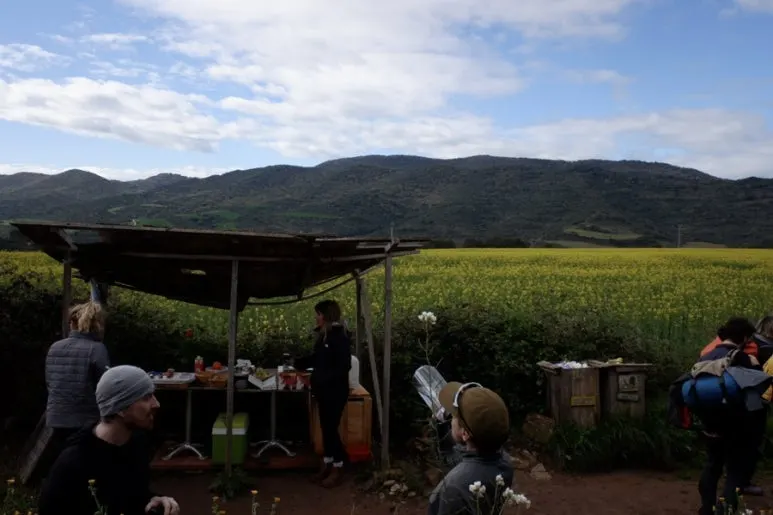 3D96F14D-7B81-4D07-8F48-01511C625C54-24944-00000AC63A03FF0C.jpg?type=w773