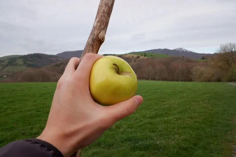 637B3E4E-F392-4B40-8EBD-6084B6421940-14822-000006BD47B33391.jpg?type=w773