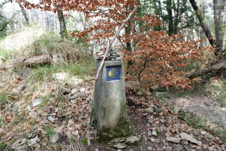 CD83407E-744F-41D9-838E-DA009224A6BD-14822-000006BDC2073B23.jpg?type=w773