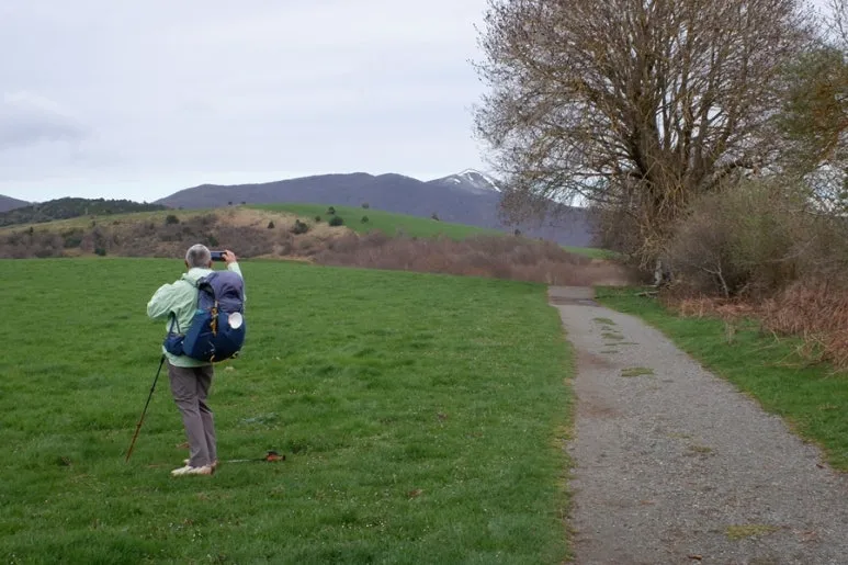 E5786B2E-0753-4C98-85AC-F139943A8345-14822-000006BD41869C55.jpg?type=w773