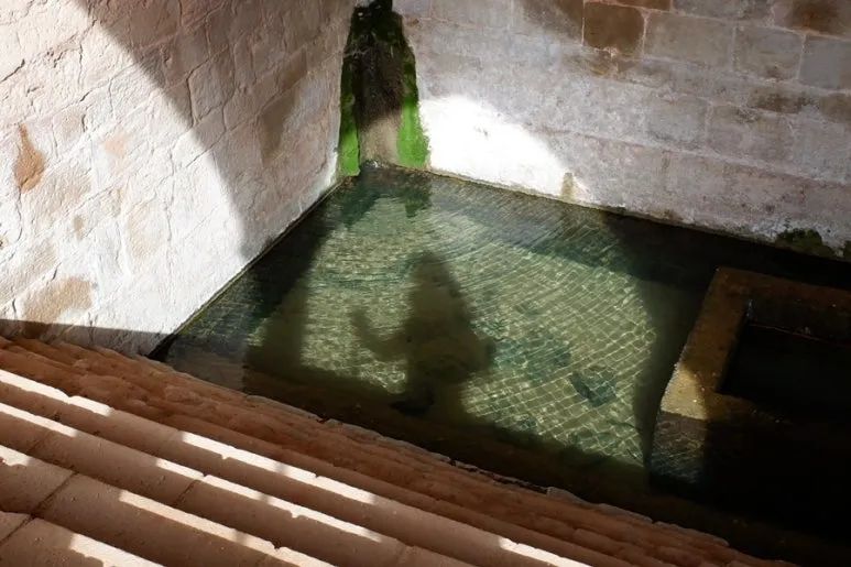 372F439E-6A8B-491F-A71D-56A755C7B2F0-26988-00000BA57C0456E1.jpg?type=w773