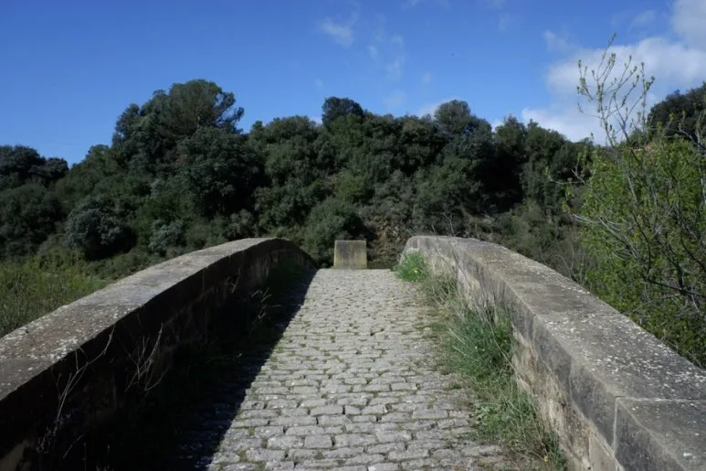 91CF8F71-81D2-4E9F-B732-EDB64CB81AF6-24944-00000AC652F66BA0.jpg?type=w773