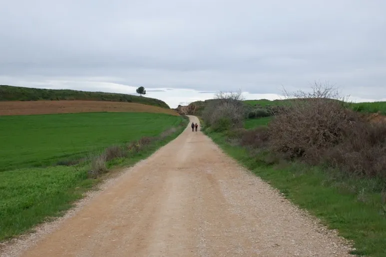 0E7B9DFF-D40F-4BCF-827C-D783A9A832E4-26988-00000BA5A27CC5C7.jpg?type=w773