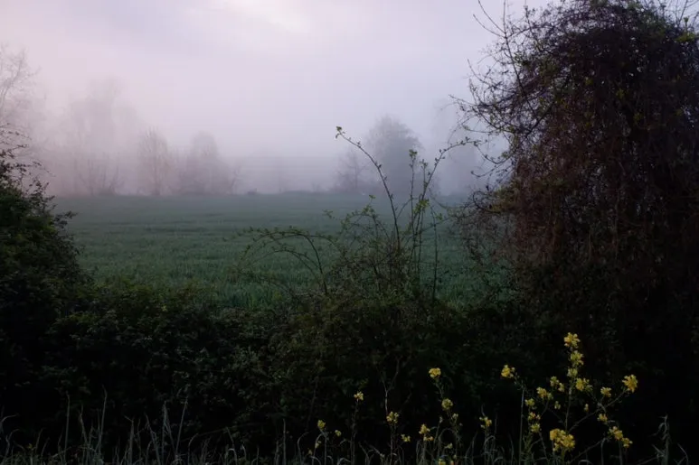 6447F554-B0EE-4FD6-ADDB-564A270DD233-24944-00000AC59ED7E838.jpg?type=w773