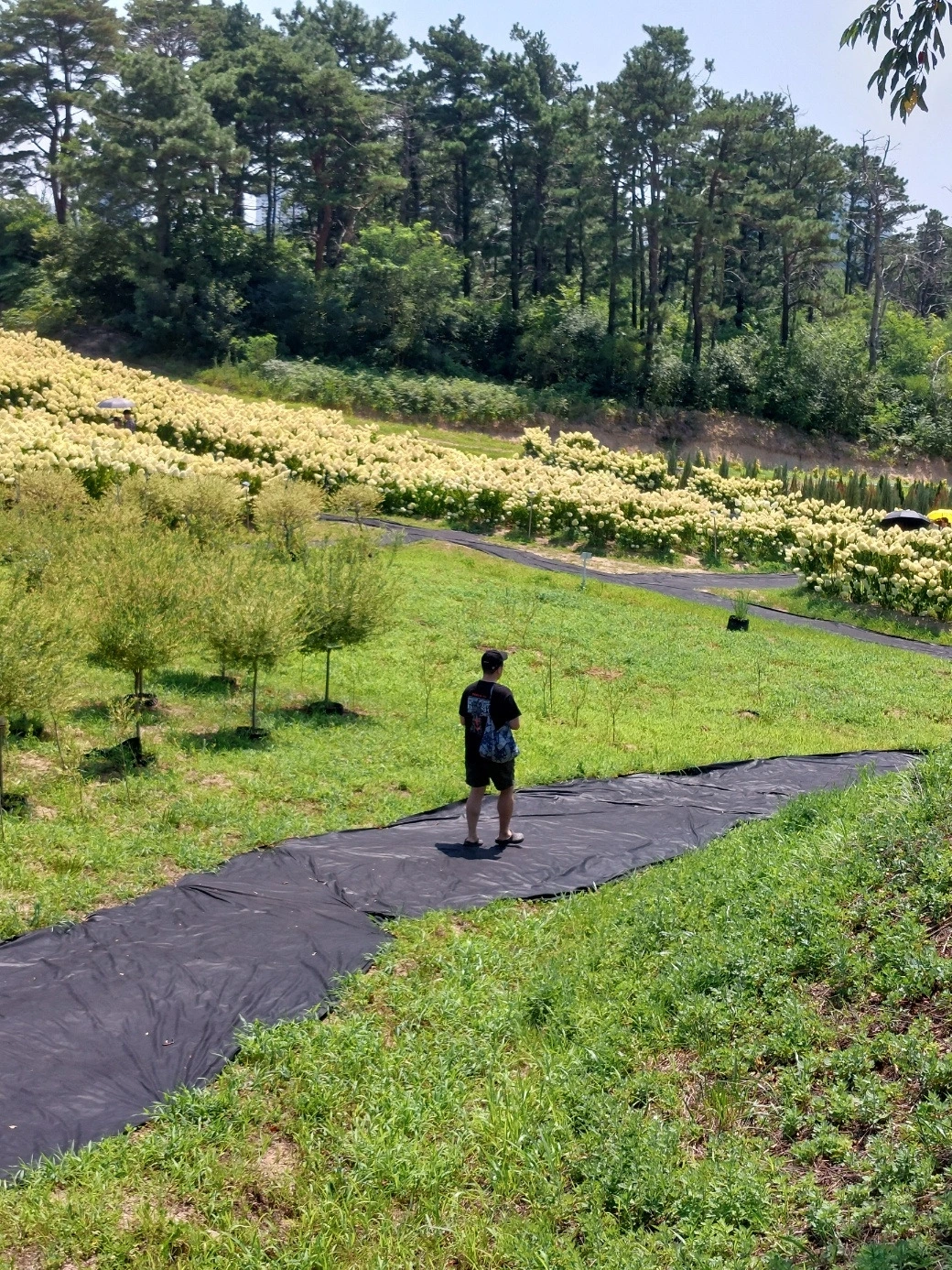 다운로드 (3).jfif