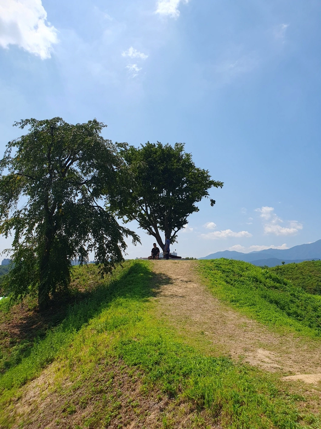 다운로드 (2).jfif