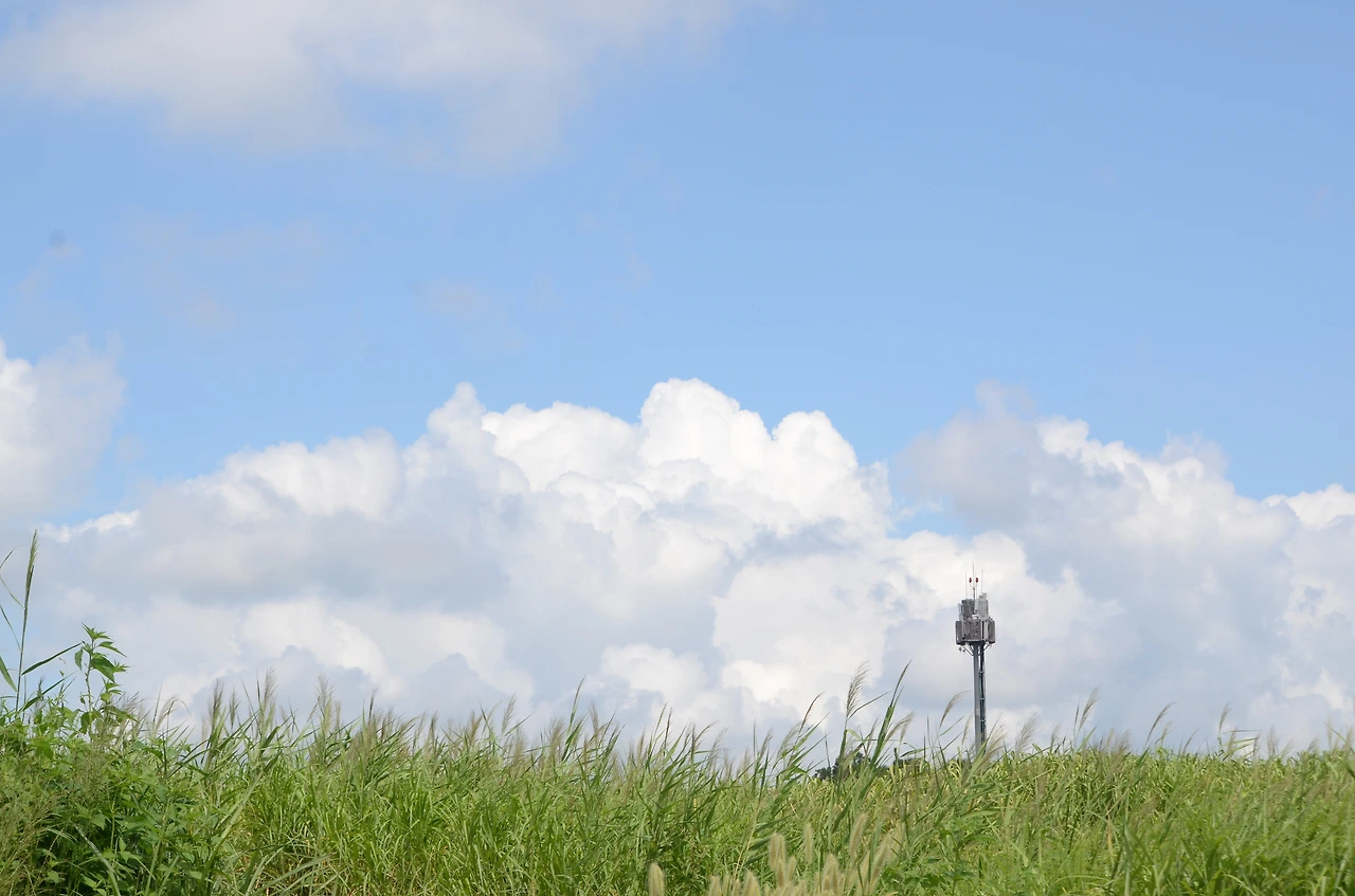 하늘공원 (10).JPG