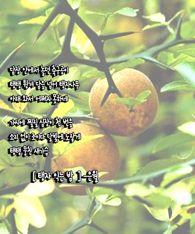 Daum_Screenshot_2017-06-12_23-03-01.jpg?type=w800