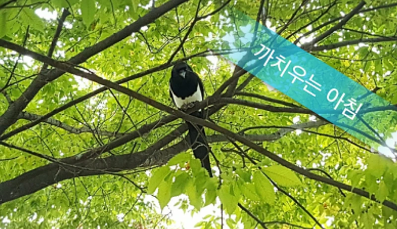 Daum_Screenshot_2019-06-09_09-26-06.png?type=w800