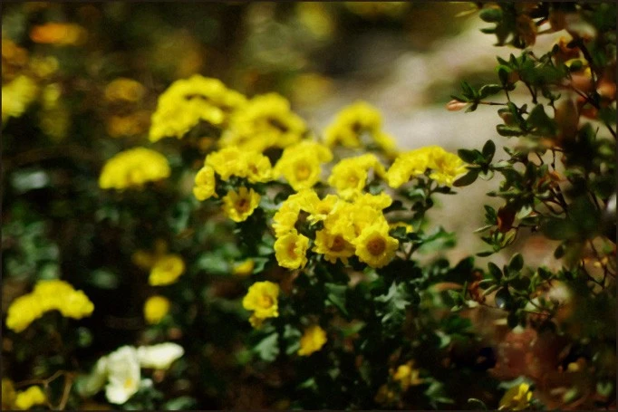 124739144848A48EF9F5A7.jpg?type=w800