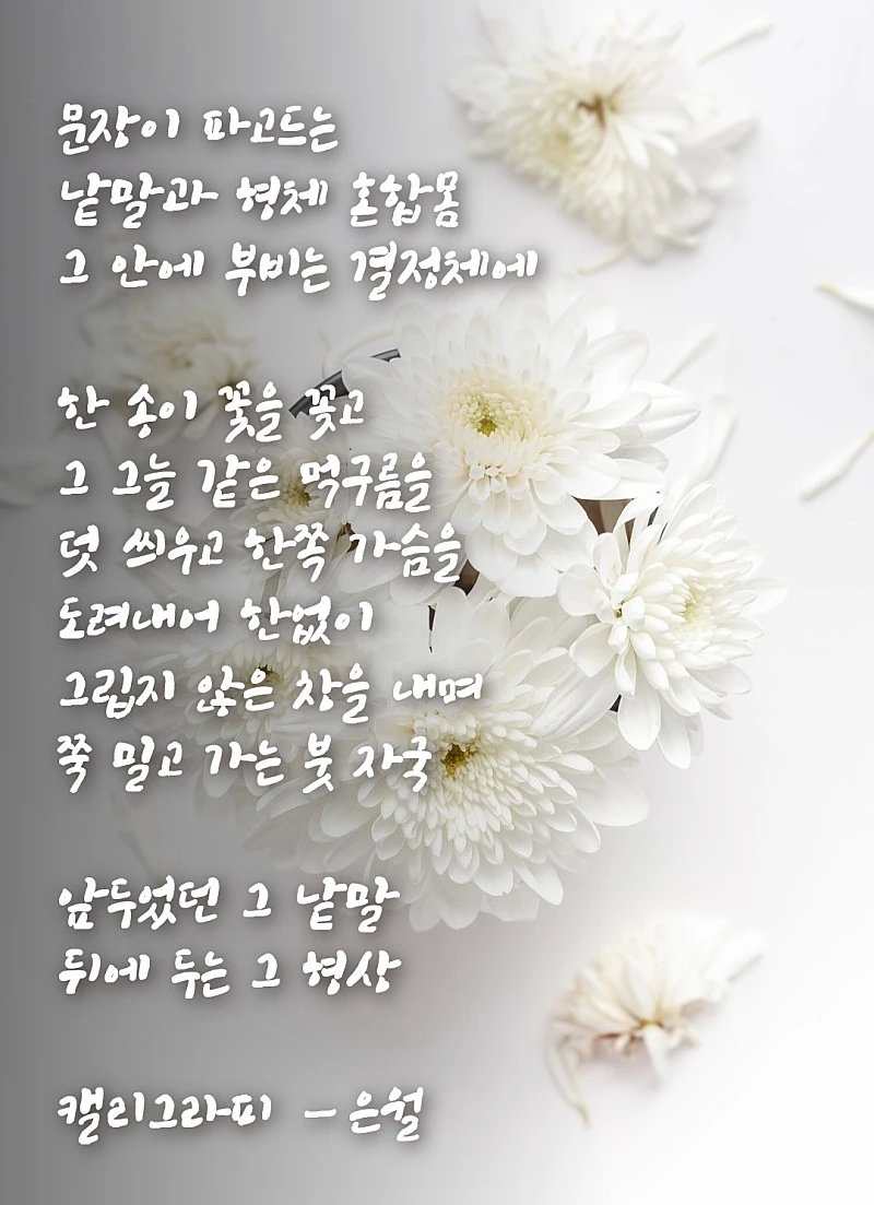 20190609174441.jpg?type=w800