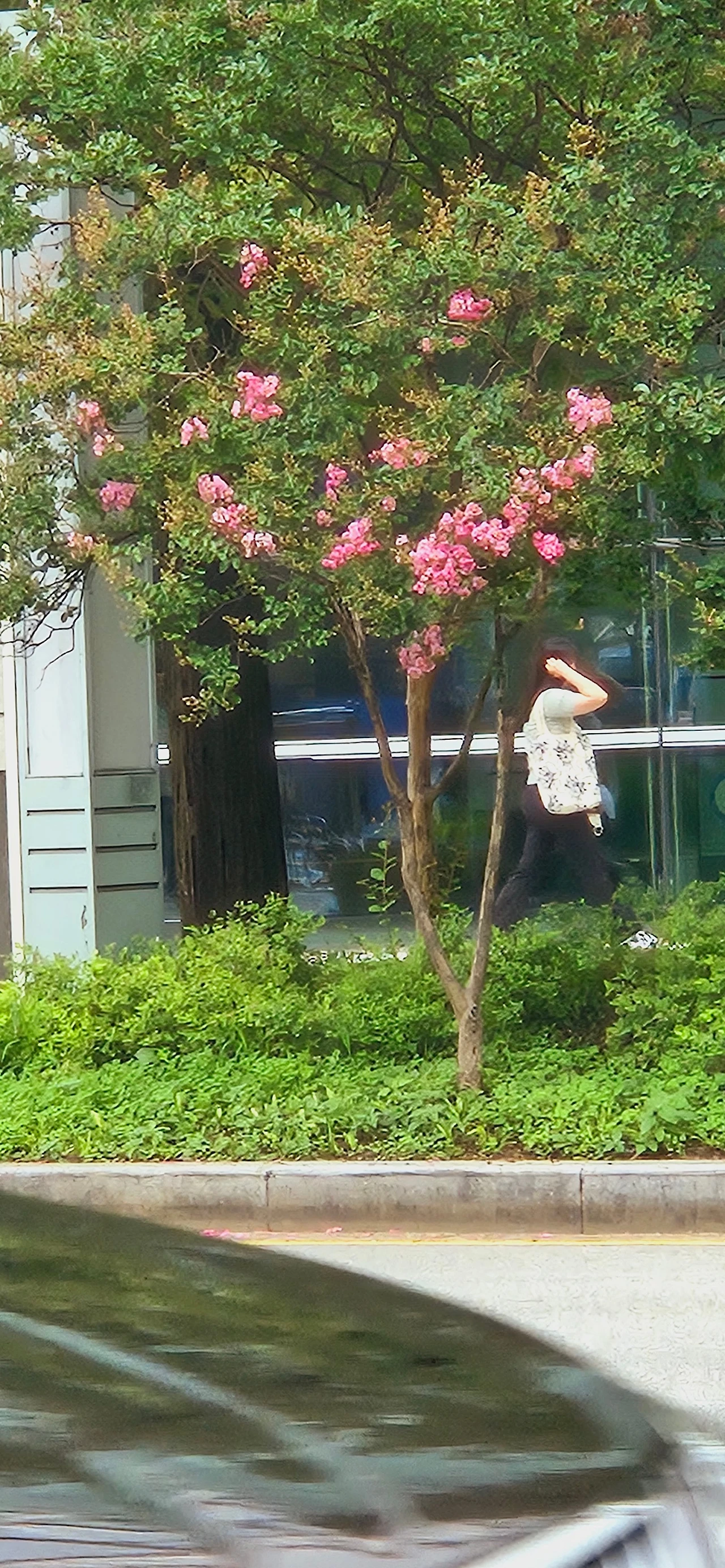 20230630_141018.jpg?type=w1600