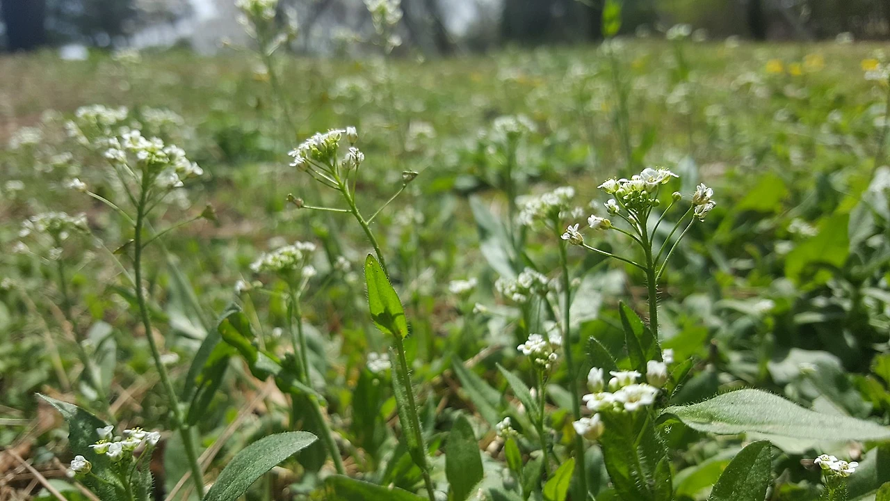 20190407_134835.jpg?type=w1600