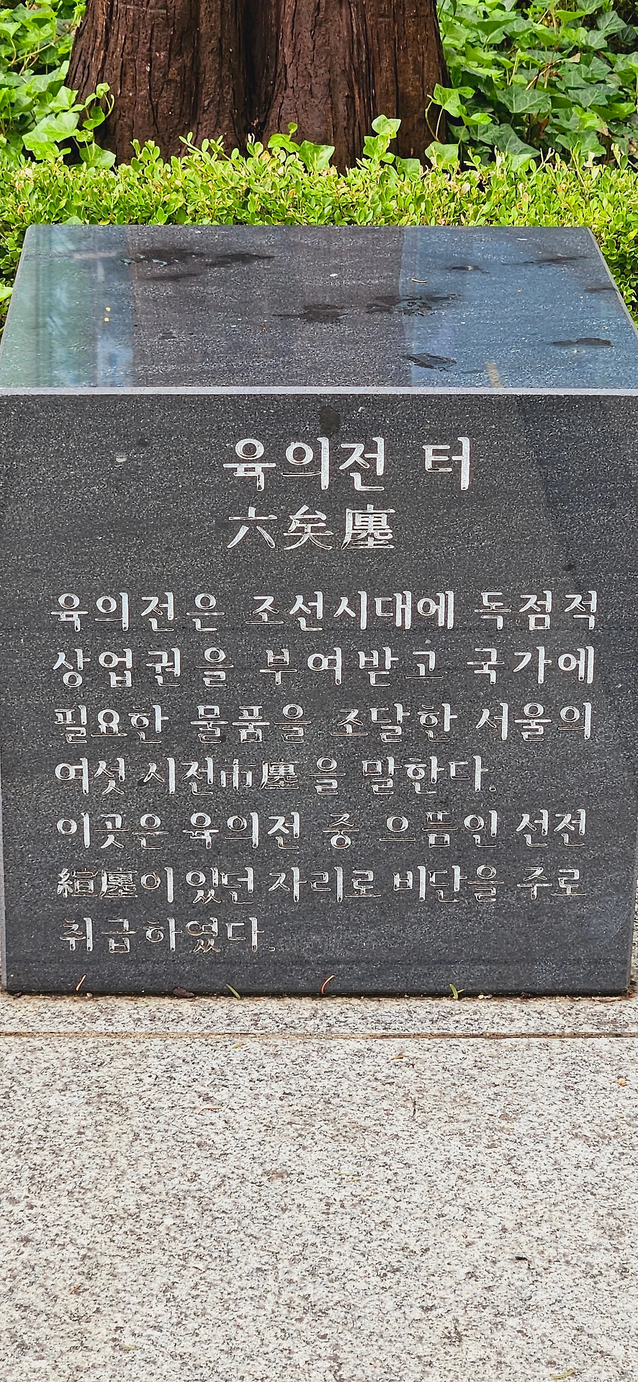 20230630_141156.jpg?type=w1600