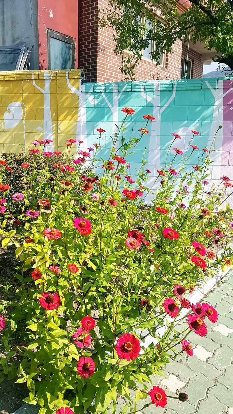 20181017_153510.jpg?type=w800