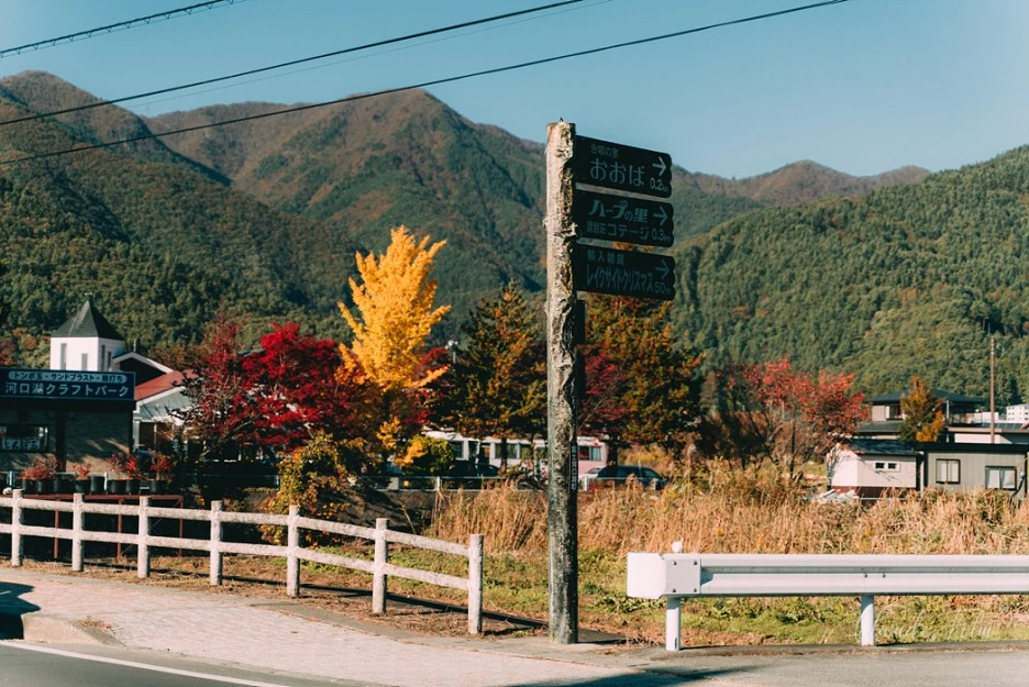 DSC03605.jpg?type=w1