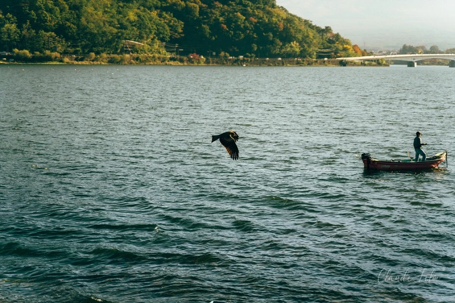 DSC03586.jpg?type=w1