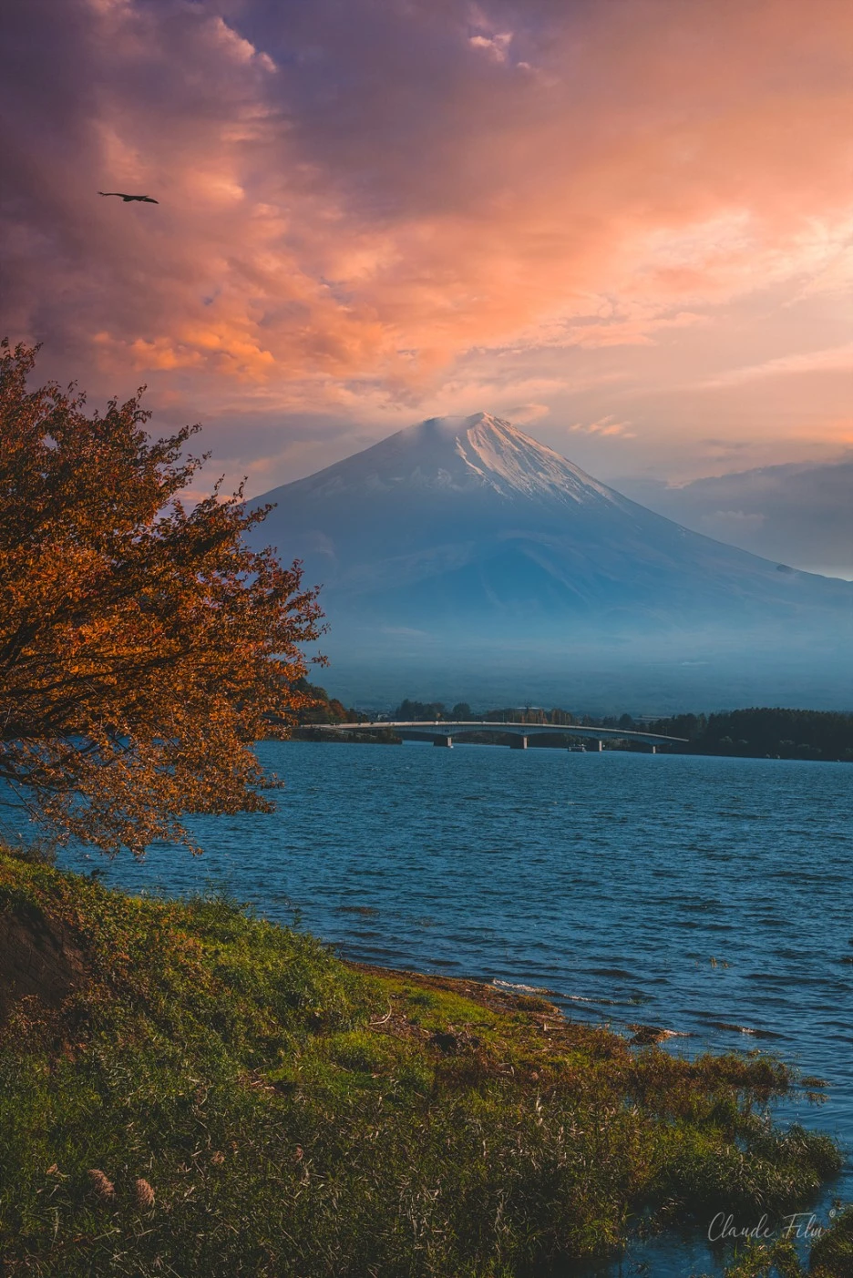 DSC03542-%ED%8E%B8%EC%A7%91-3.jpg?type=w1