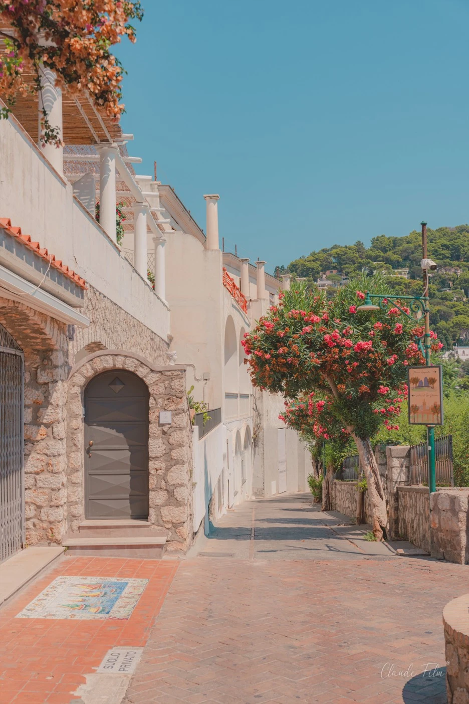 20220804-BSH00577.jpg?type=w1