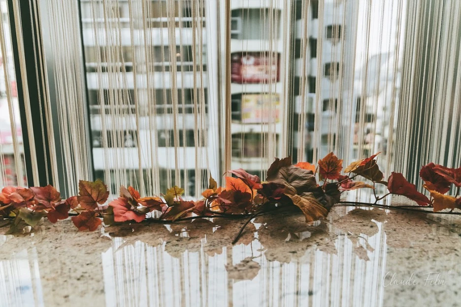 DSC03047.jpg?type=w1