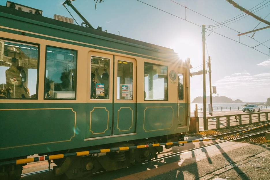 DSC04338.jpg?type=w1