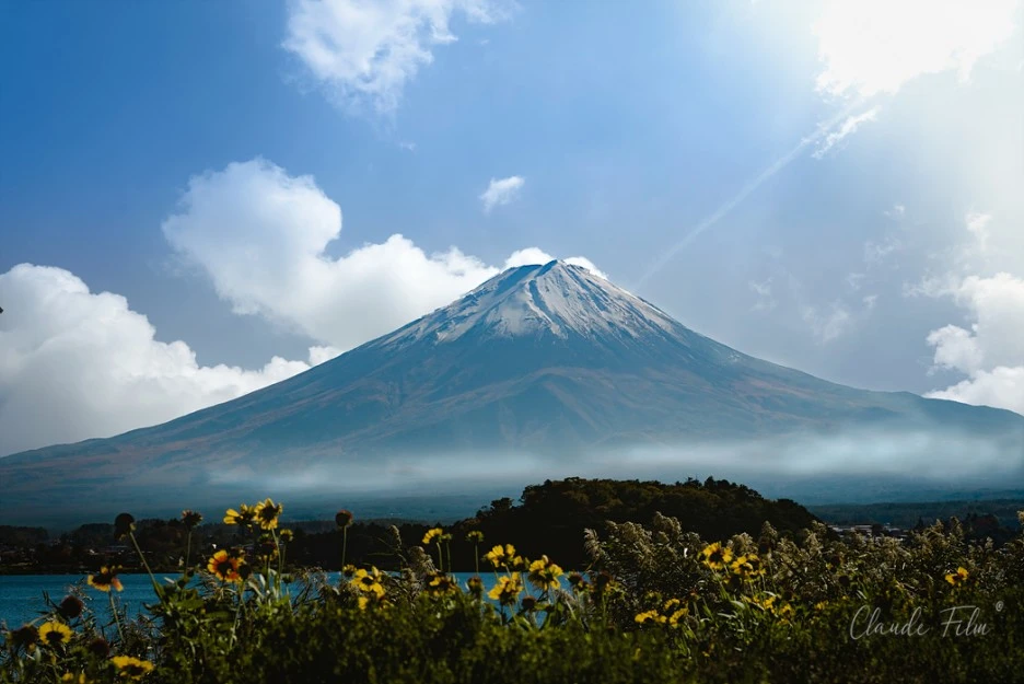 DSC03436-2-2.jpg?type=w1