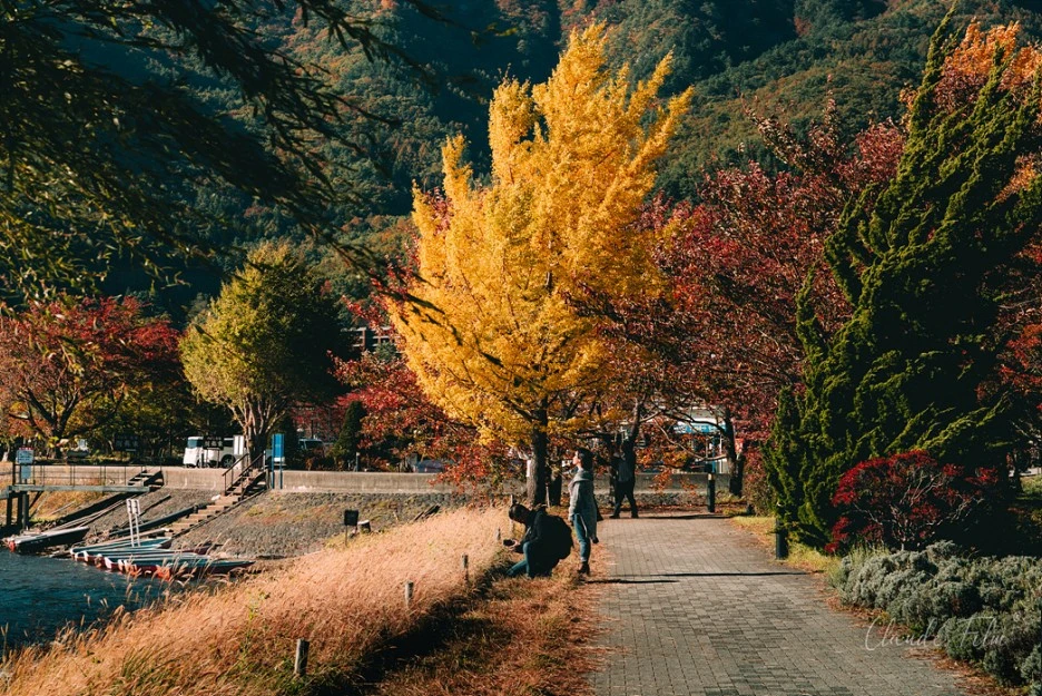 DSC03509.jpg?type=w1