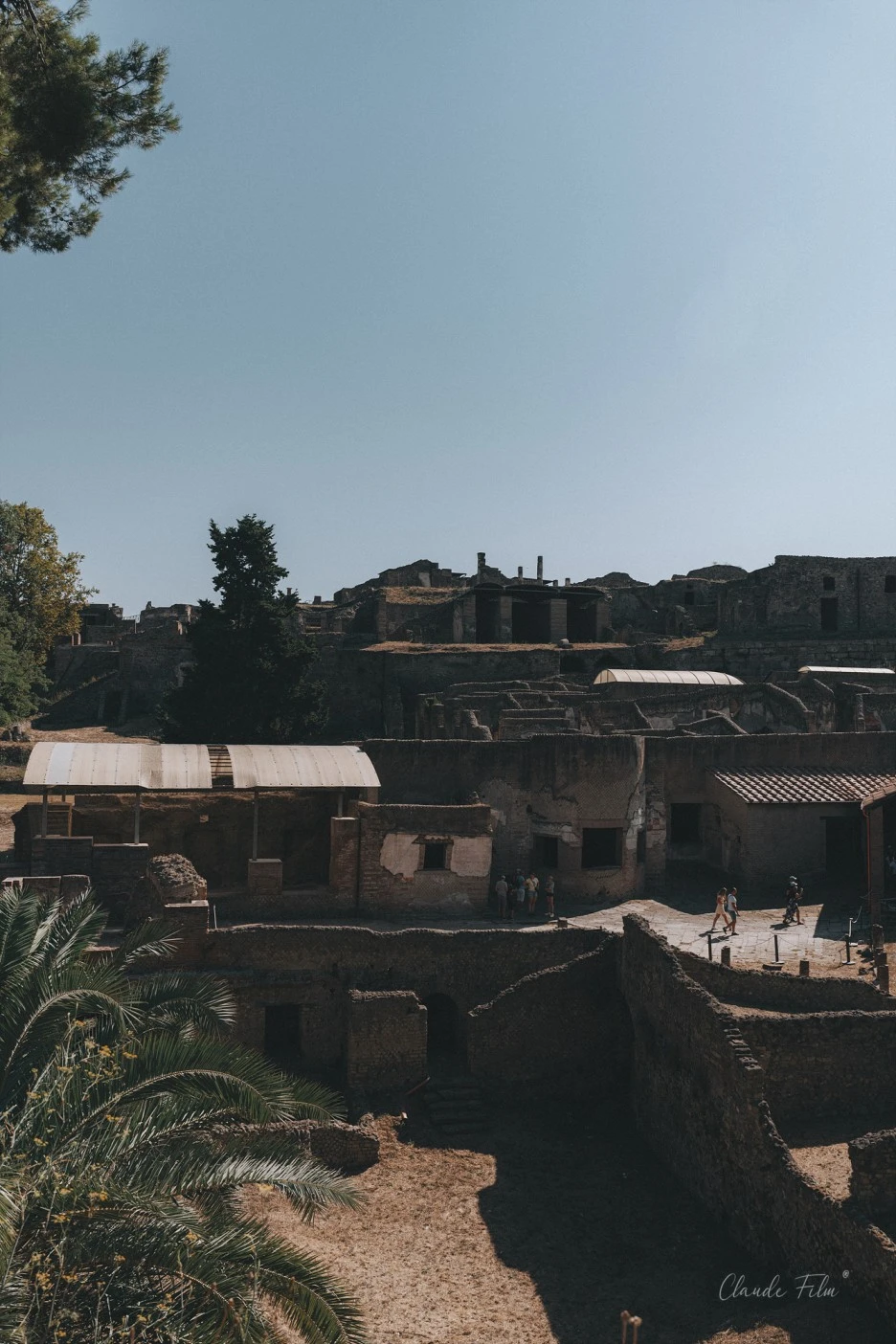 20220804-BSH00293.jpg?type=w1