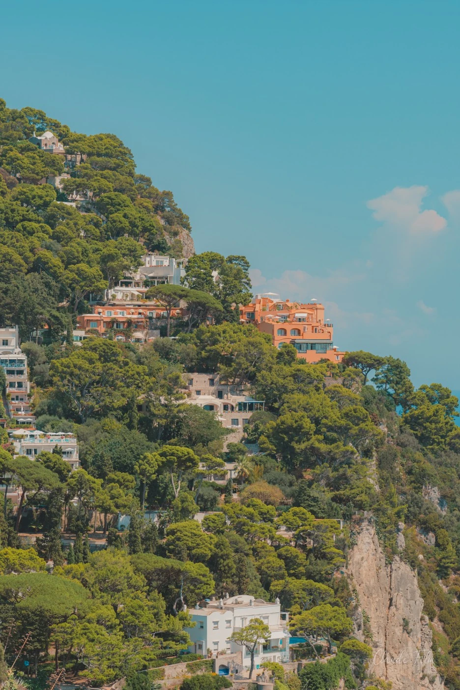 20220804-BSH00605-2.jpg?type=w1