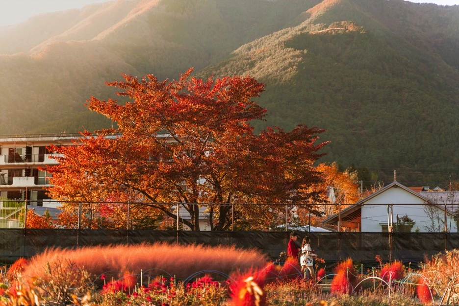 DSC03674.jpg?type=w1