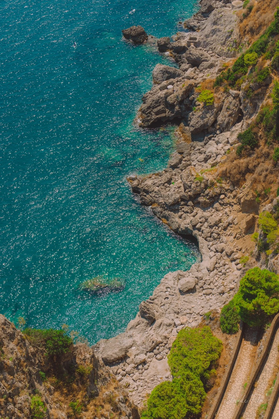 20220804-BSH00593.jpg?type=w1