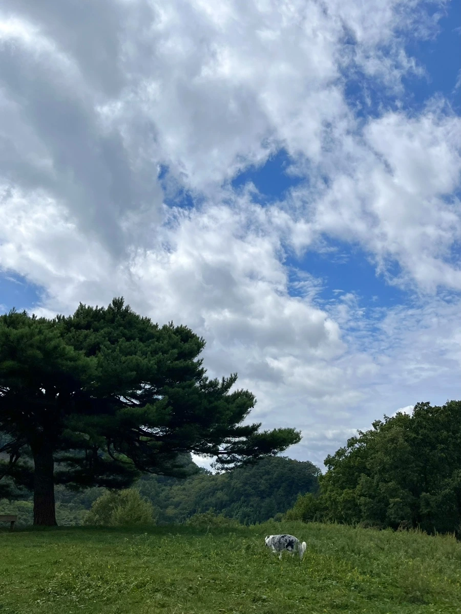 IMG_9392.jpg?type=w966