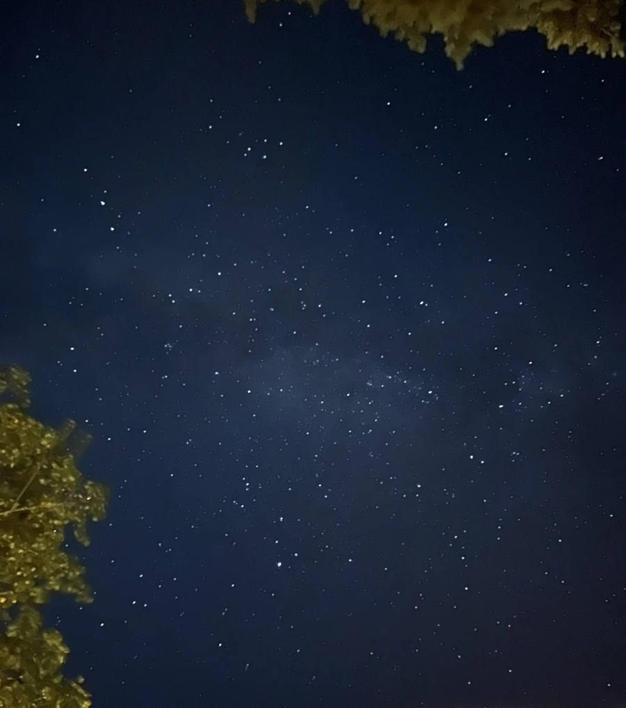 IMG_9335.jpg?type=w966