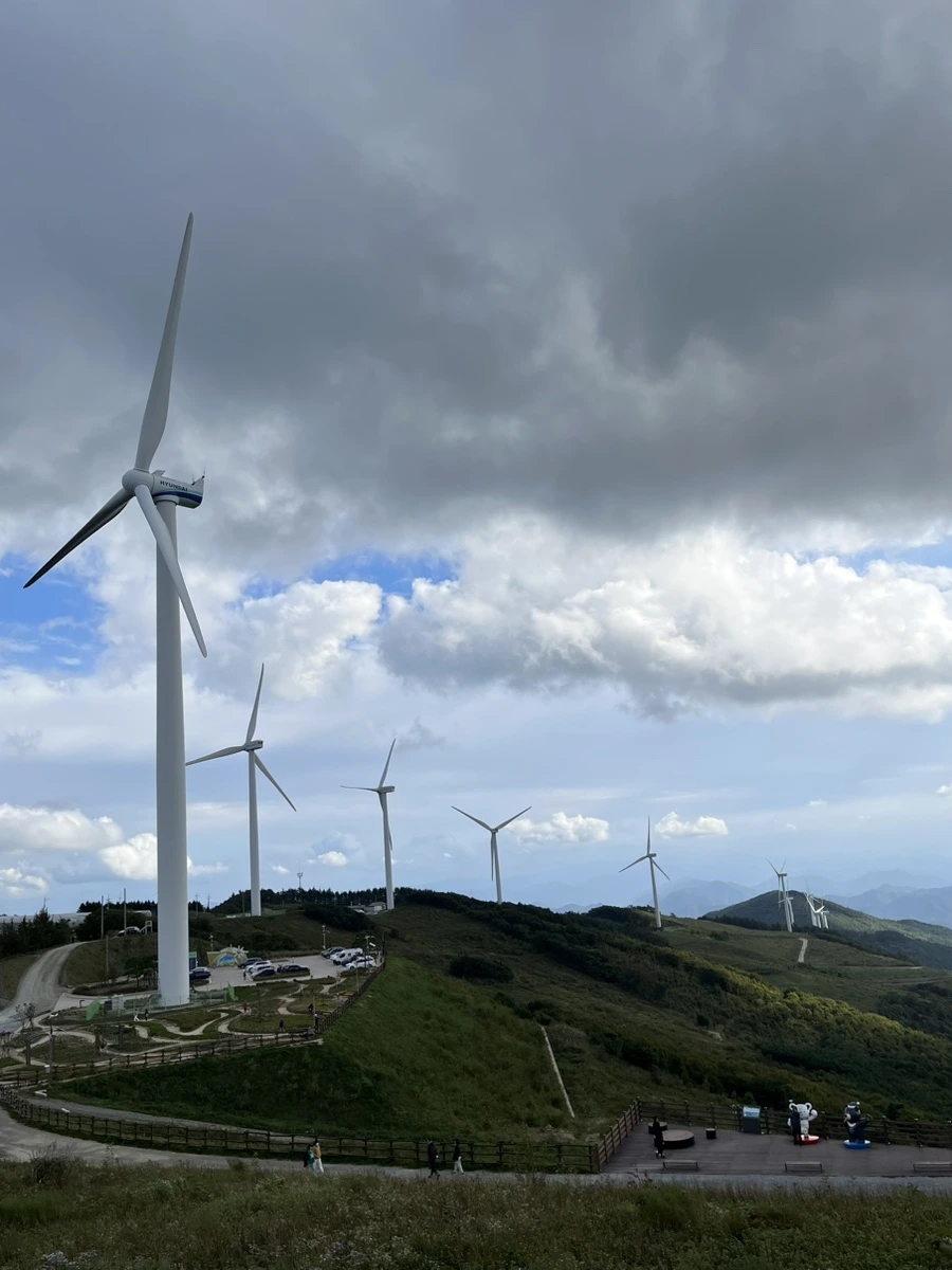 IMG_9573.jpg?type=w966