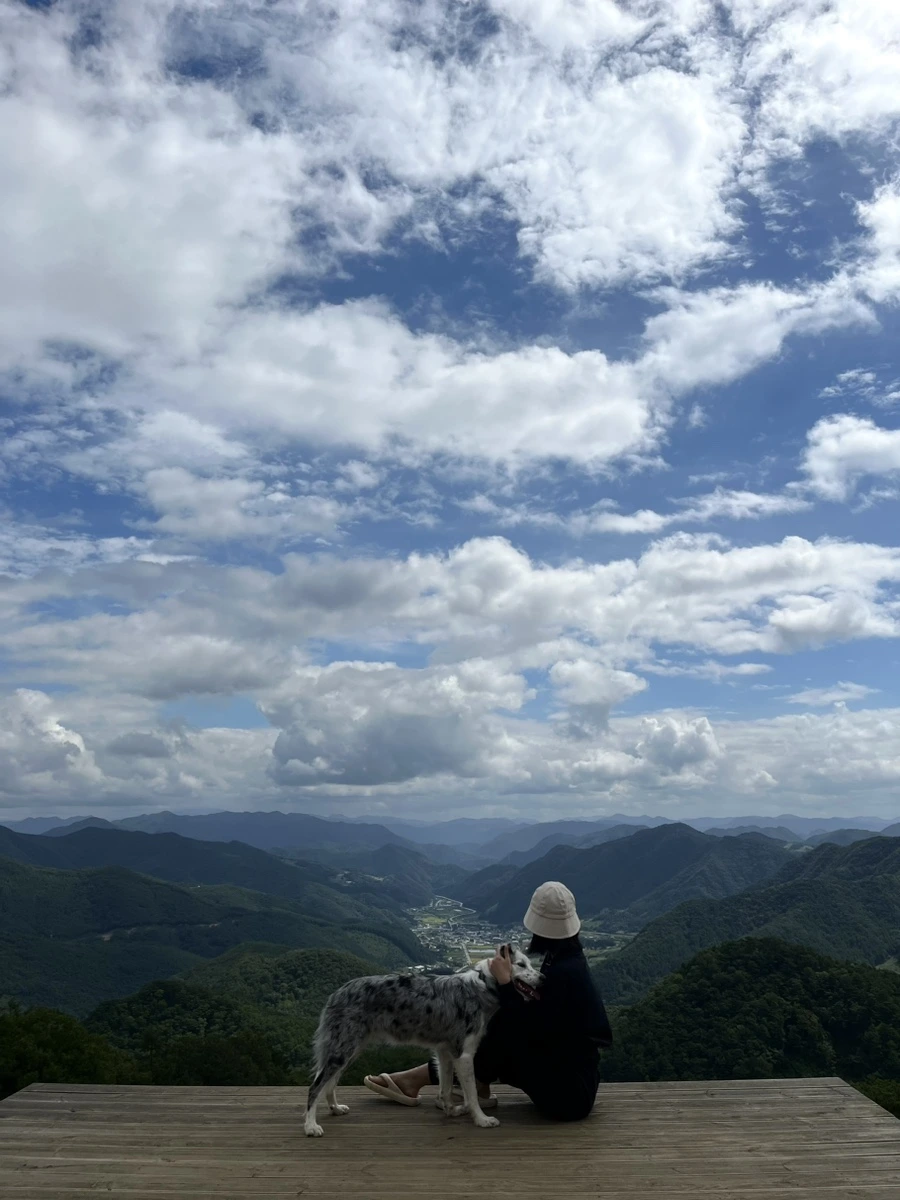 IMG_9487.jpg?type=w966