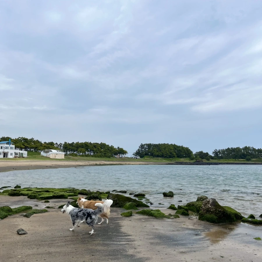 IMG_4080.jpg?type=w966