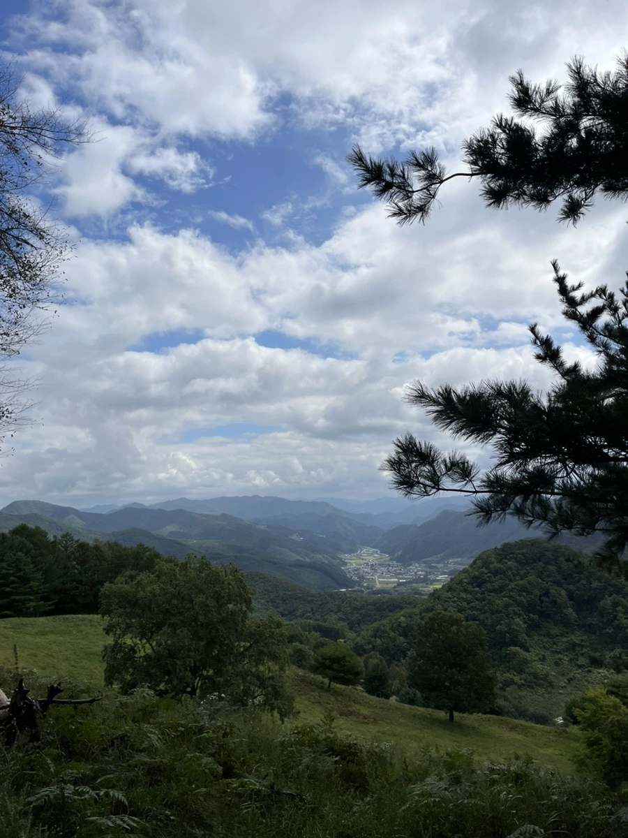 IMG_9375.jpg?type=w966