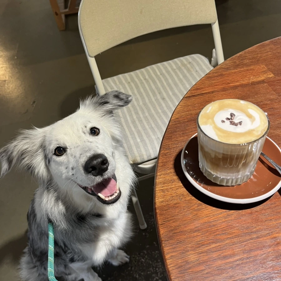 IMG_4481.jpg?type=w966